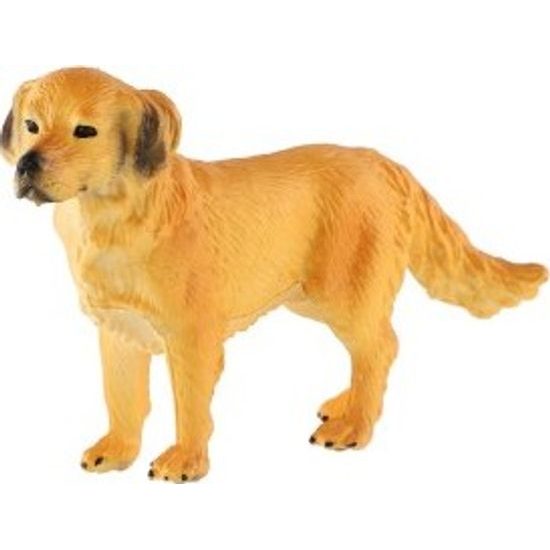 Retrívr zlatý - pes domácí zooted