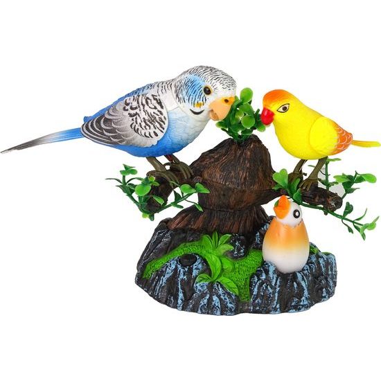 Zpívající pohybující se papoušci na stromě