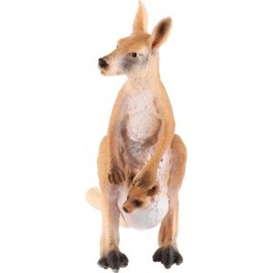 Klokan velký s mládětem zooted