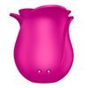 Satisfyer Pro 2 Modern Blossom, csikló pulzátor rózsa formában