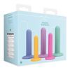 Loveline Set of dilators for muscle training during vaginismus 5 pcs