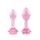 Pink Roses Glass Butt Plug Training Set