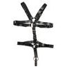 Postroj Zado Harness