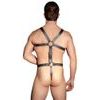 Postroj Zado Harness