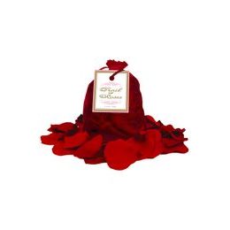 Trail of Roses - Rose Petals