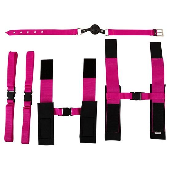 Fetish Fantasy Pink Passion Bondage Kit