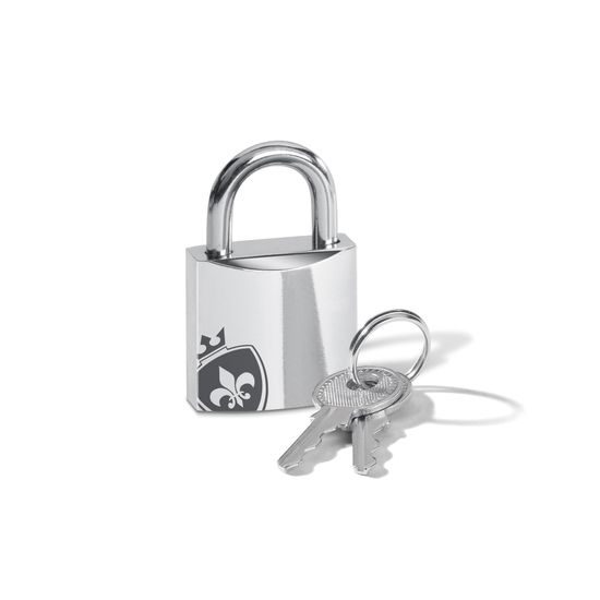 Mystim Elektro seks - Pubic Enemy No. 3 pas čistosti