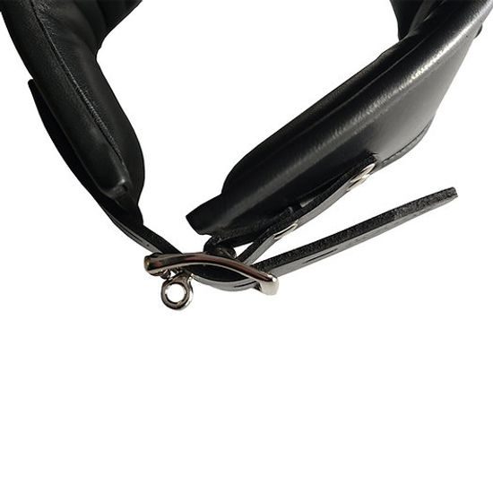 Rouge Leather Posture Collar