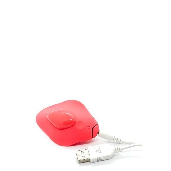 Skrivni spremljevalec