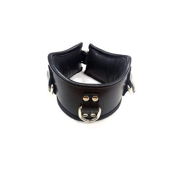 Rouge Leather Posture Collar