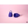 Lola Games Set de cupe menstruale Natural Wellness 2 bucăți albastru