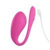 We-Vibe Jive 2 Roz Electric