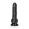Dildo Realist Curbat RealRock cu Bile și Ventuză 7"