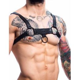 H4RNESS de la C4M Party Black Harness