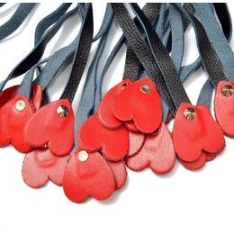 Bici de lux - inimă