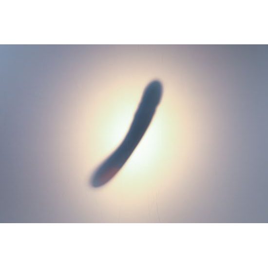 Svakom Ava Neo Vibrator Interactiv cu Mișcări de Împingere Albastru