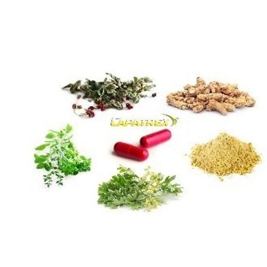 Capatrex 450mg 1 capsulă