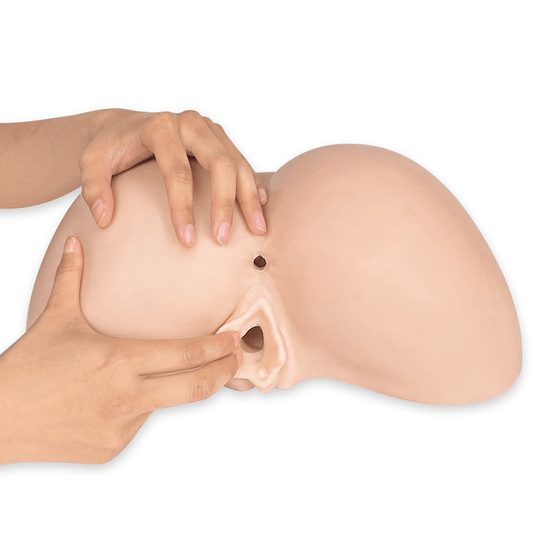 Masturbator SilexD Ass Daphne