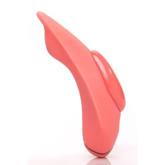 Companion Clandestin