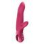 Fun Factory Bi Stronic Arc