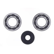 Crankshaft Rebuilding Kit ATHENA P400210444139 (bearing and oil seal kit)