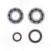 Crankshaft Rebuilding Kit ATHENA P400060444001 (bearing and oil seal kit)
