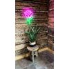 2Kids Toys LED NEON LIGHT lampička Růže