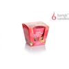 Bartek Svíčka sklo 115g Tropical Twist
