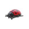 Jungle Expedition hmyz 4cm 4ks na kartě