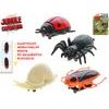 Jungle Expedition hmyz 4cm 4ks na kartě