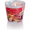 Bartek Svíčka sklo 115g Winter Tutti Frutti