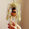 Anatomický model lidského těla FLESHTOPIA