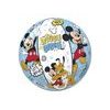 Mickey Mouse Clubhouse míč 23cm Mickey Mouse 10m+ v síťce