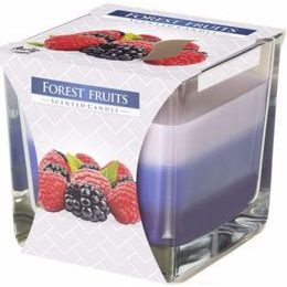 Bispol Svíčka ve skle Forest Fruits
