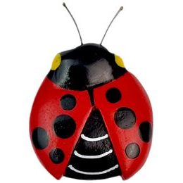 2Kids Toys Dřevěná magnetka velká Beruška