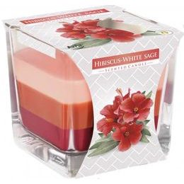Bispol Svíčka ve skle 170g Hibiscus White Sage