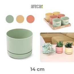 PF Květináč 14 cm Areca SURTIDO SUMMER