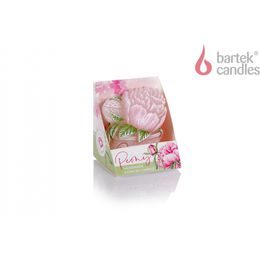 Bartek Svíčka disc 75 box Peony