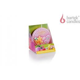 Bartek Svíčka disc 75 box Fruitful