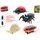 Jungle Expedition hmyz 4cm 4ks na kartě