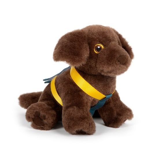 small foot Plyšový pes s pečovatelskou sadou