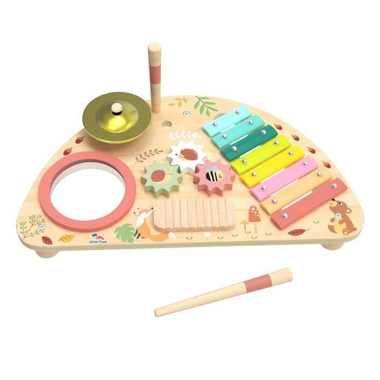 2Kids Toys Multifunkční hudební deska