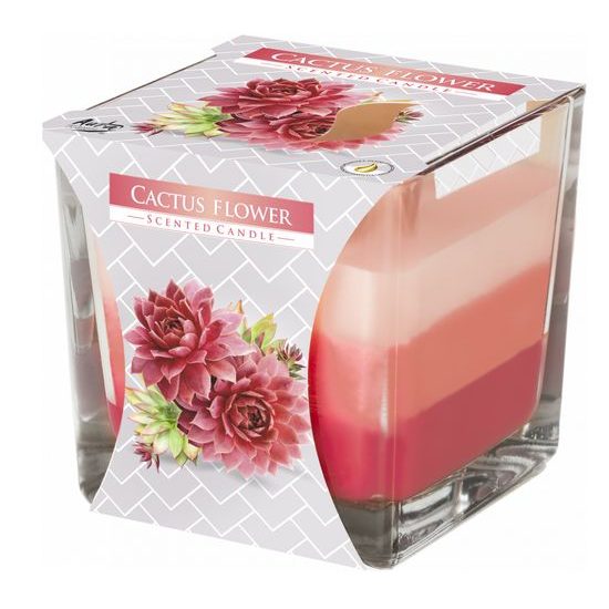 Bispol Svíčka ve skle Cactus Flower