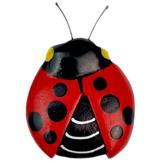 2Kids Toys Dřevěná magnetka velká Beruška