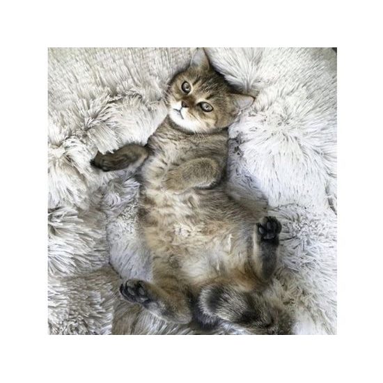 Chlupatý pelíšek pro psa 60cm - šedý
