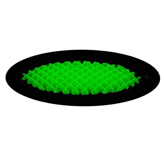 Grid Shifter mřížka/klíčenka 12cm svítící ve tmě 4barvy na kartě 24ks v DBX