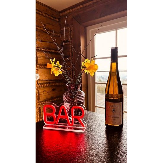 2Kids Toys LED NEON LIGHT lampička BAR