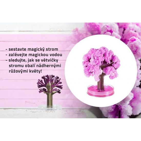 Magický strom Sakura