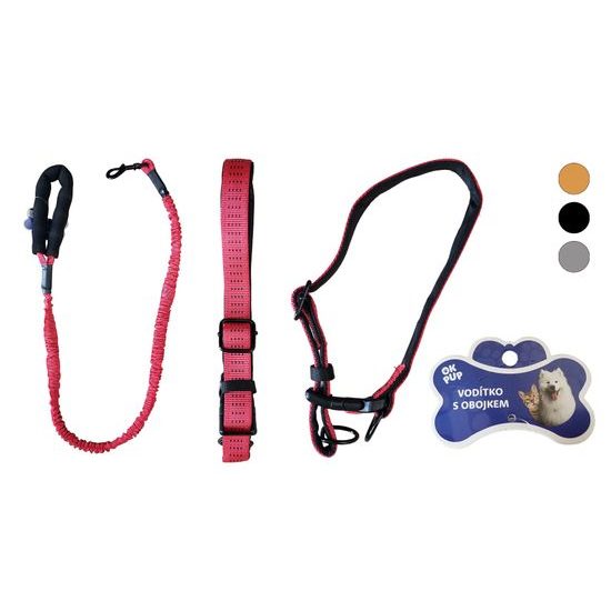 OKPup Vodítko s obojkem pro psy 120x2,5cm Wilford