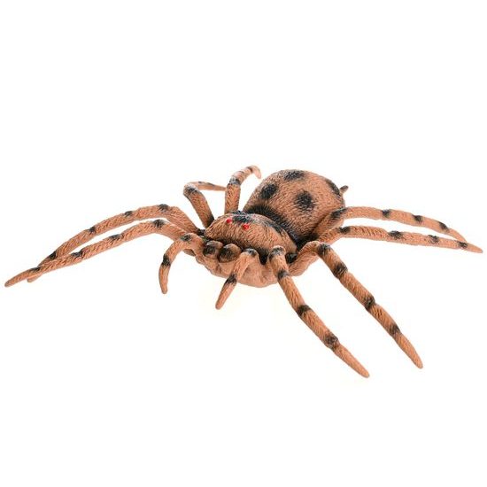 Jungle Expedition pavouk/mravenec 17-21cm